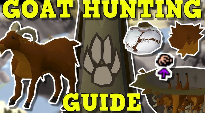 The Goat Grind: Faster Rumors and Fluffy Rewards